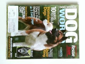 DOG WORLD 2011/01 宠物世界  犬世界  宠物杂志 狗狗杂志 外文原版杂志