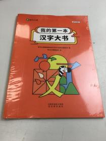 我的第一本汉字大书