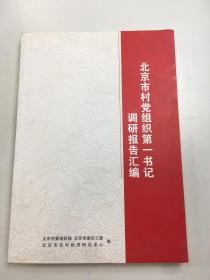 北京市村党组织第一书记调研报告汇编