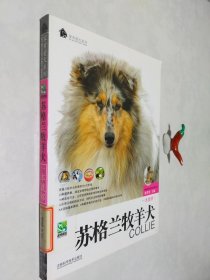 苏格兰牧羊犬