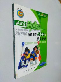 小学生限时限字作文大全.500字