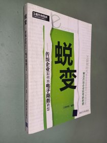 蜕变：传统企业如何向电子商务转型