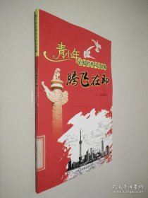 腾飞在即：开发浦东战略开始实施