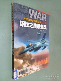 世界战争史故事丛书 飞机篇 钢铁之鹰展雄风