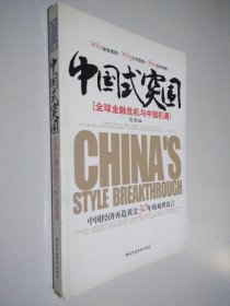 中国式突围：全球金融危机与中国机遇