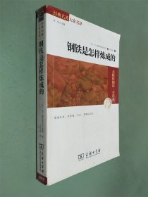 经典名著 大家名译：钢铁是怎样炼成的（无障碍阅读 全译本 素质版）