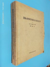 國際刑事警察組織破案故事 下 盲文