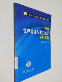 2010世界能源与电力统计分析报告