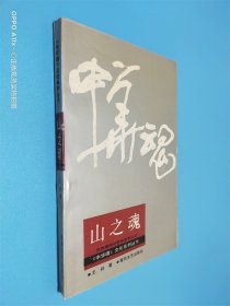 中华魂文化系列丛书 山之魂