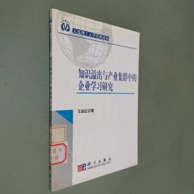 知识溢出与产业集群中的企业学习研究