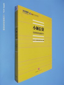 小额信贷：互联网微金融时代