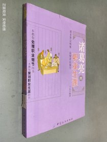 诸葛亮的职业生涯