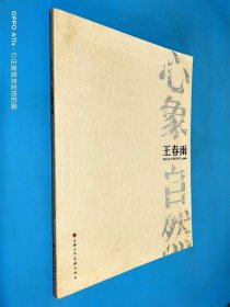 心象自然 王春雨作品集