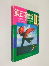 第五项修炼II实践篇 上