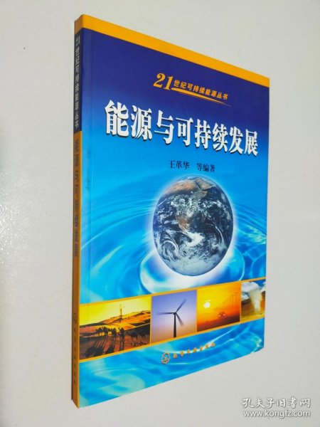 能源与可持续发展——21世纪可持续能源丛书