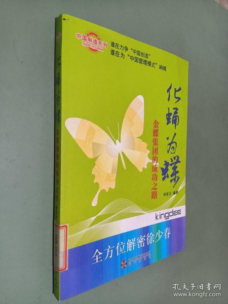 化蛹为蝶：金蝶集团的成功之路
