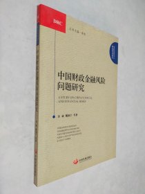 中国财政金融风险问题研究