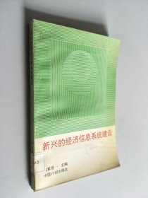 新兴的经济信息系统建设