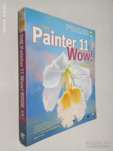 THE PAINTER 11 WOW！BOOK
