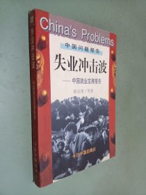 失业冲击波:中国就业发展报告