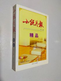 小说月报精品