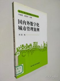 国内外数字化城市管理案例