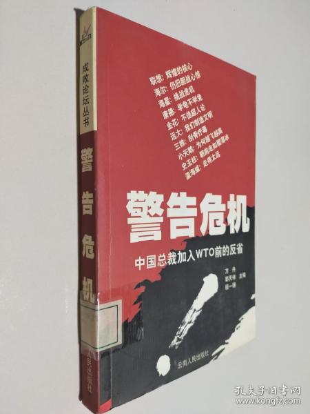 警告危机:中国总裁加入WTO前的反省