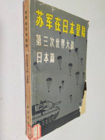 苏军在日本登陆第三次世界大战日本片