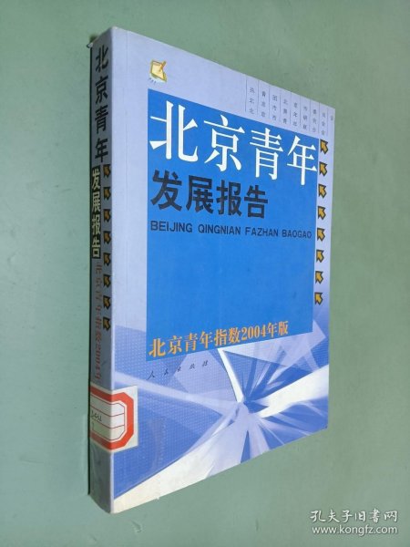 北京青年发展报告—北京青年指数2004年版