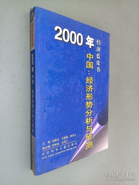 2000年中国：经济形势分析与预测