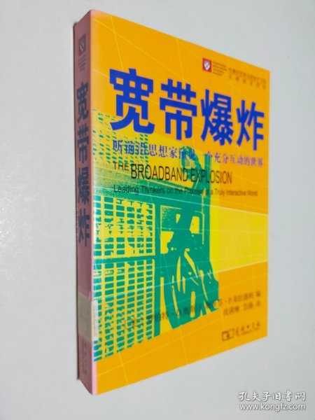 宽带爆炸：听前沿思想家预见一个充分互动的世界