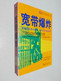 宽带爆炸：听前沿思想家预见一个充分互动的世界