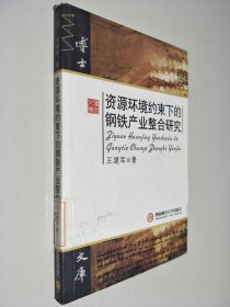 资源环境约束下的钢铁产业整合研究