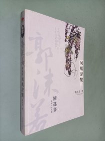 世纪文学经典：郭沫若精选集