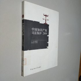 中国知识产权司法保护2009