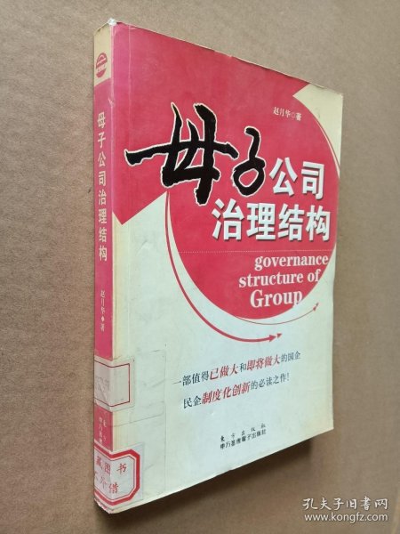 母子公司治理结构