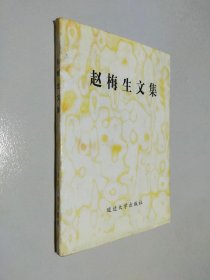 赵梅生文集