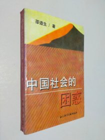 中国社会的困惑