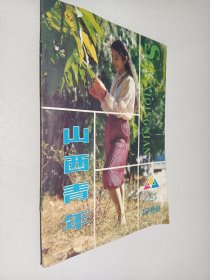 山西青年1989年第4期