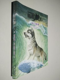 绝境狼王系列：冰川狼魂
