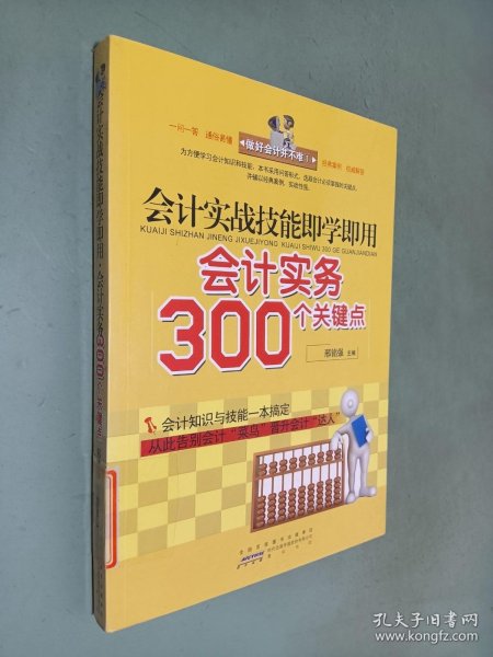 会计实战技能即学即用：会计实务300个关键点