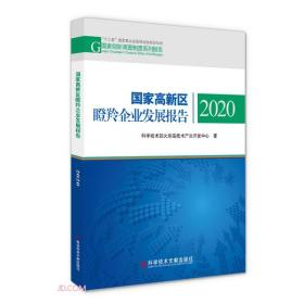 国家高新区创新能力评价报告.2020