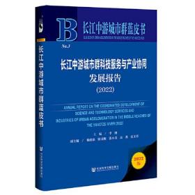 长江中游城市群蓝皮书 ： 长江中游城市群科技服务与产业协同发展报告（2022）