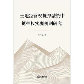 土地经营权抵押融资中抵押权实现机制研究