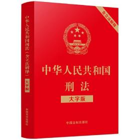 中华人民共和国刑法（含立法解释 大字版）