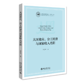 大国效应、分工经济与国家收入差距 李君华 北京大学出版社