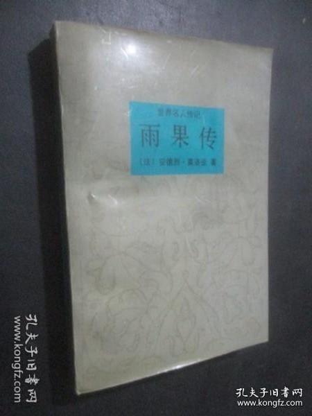 雨果传