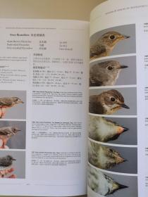 东亚雀形目候鸟年龄与性别鉴定 Ageing & Sexing of Migratory East Asian Passerines