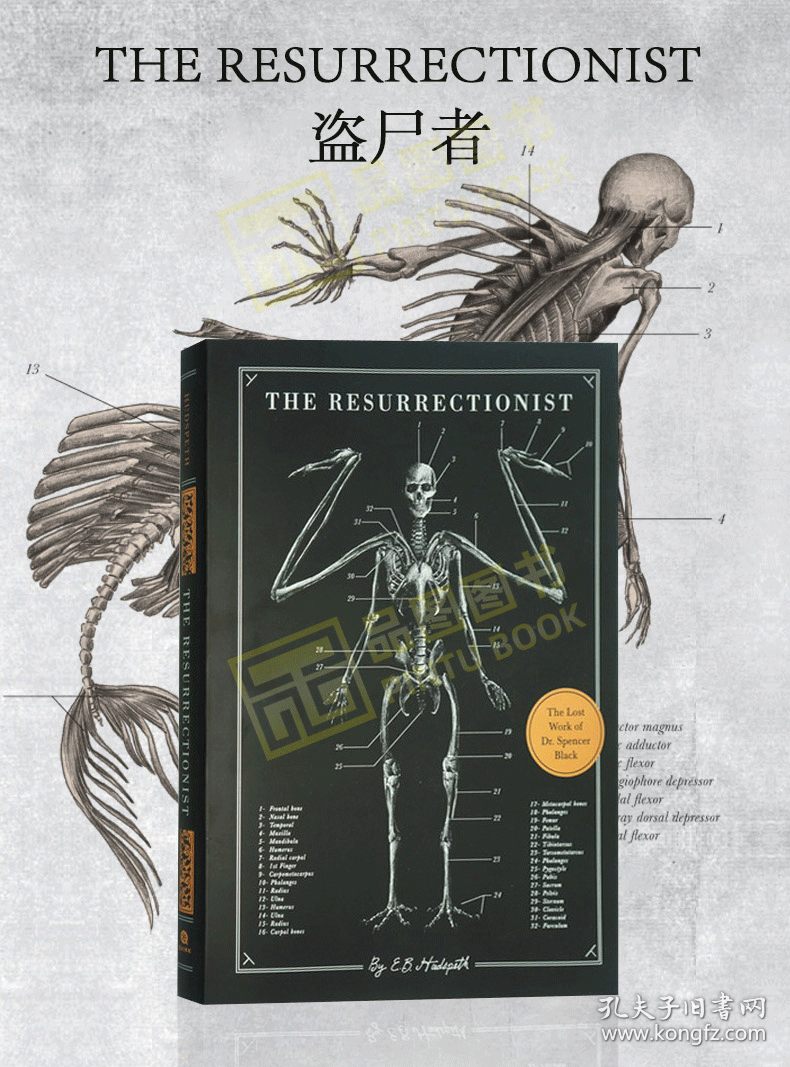 The Resurrectionist《绝迹动物古抄本》神话中野兽艺用解剖骨骼手绘笔记医学解剖书籍