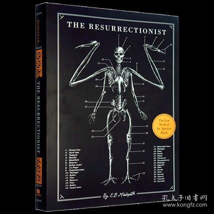 The Resurrectionist《绝迹动物古抄本》神话中野兽艺用解剖骨骼手绘笔记医学解剖书籍